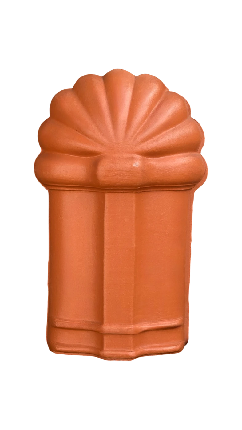 Pata de Leão